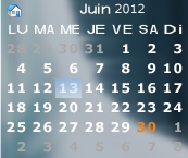skin - French Tiny Calendar (Transparent White)